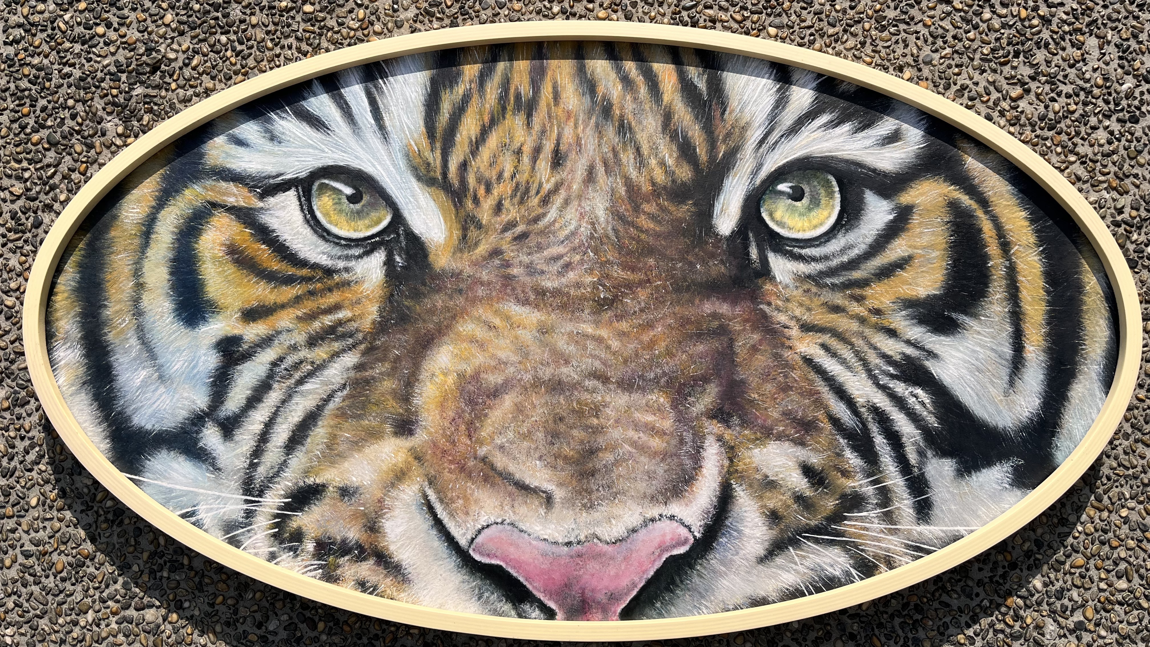 《Tiger Eyes》