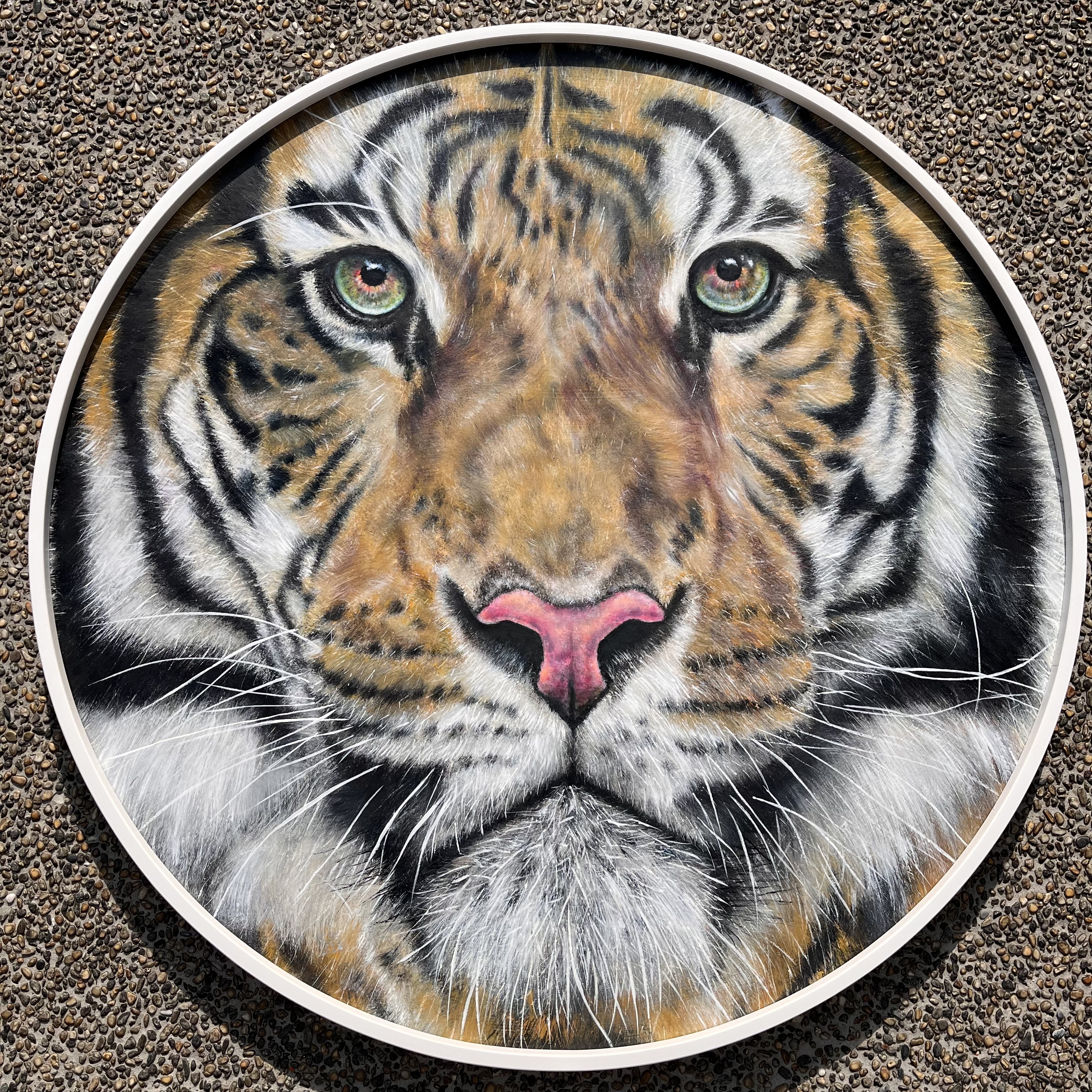 《Tiger Dad》